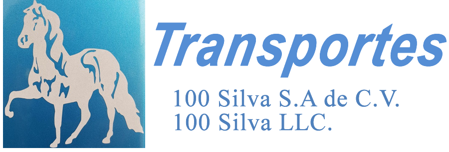Transportes 100 Silva